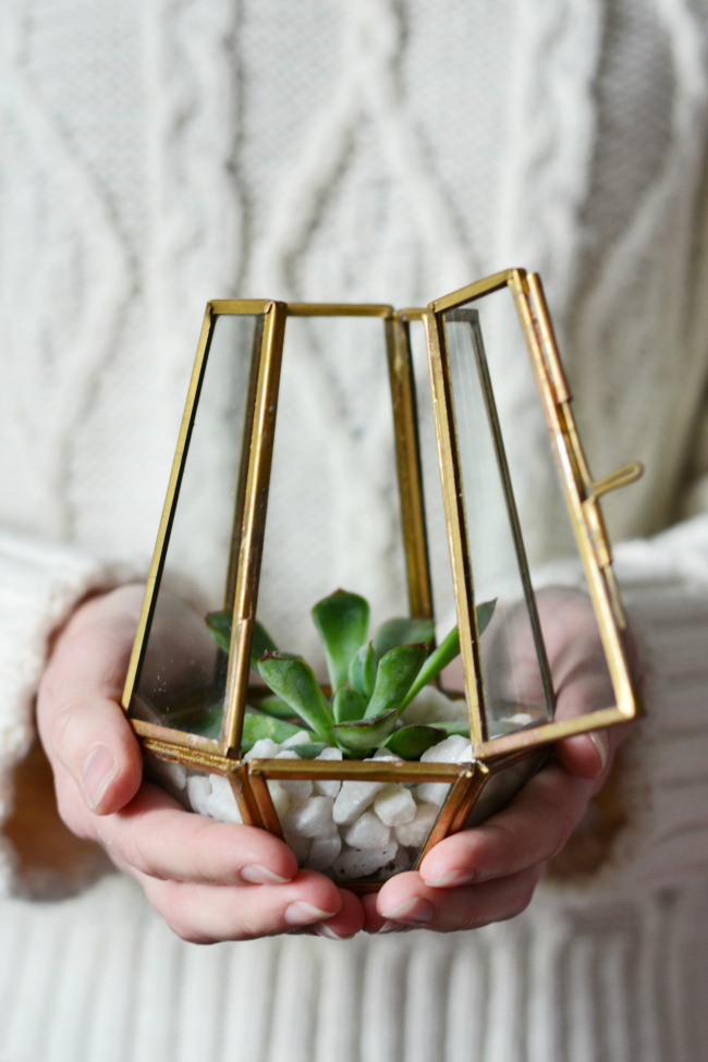 Home Trend How To Plant Terrariums