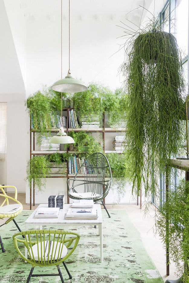 Greenery: How To Fill Your Home With This Must-Have Trend by Carole Poirot  The Oak Furniture 