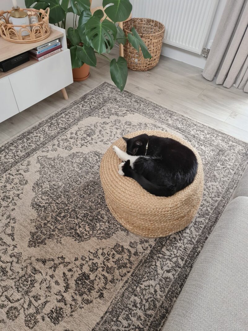 Cat sitting on a jute pouffe on top of a printed blue and cream rug in a living room.