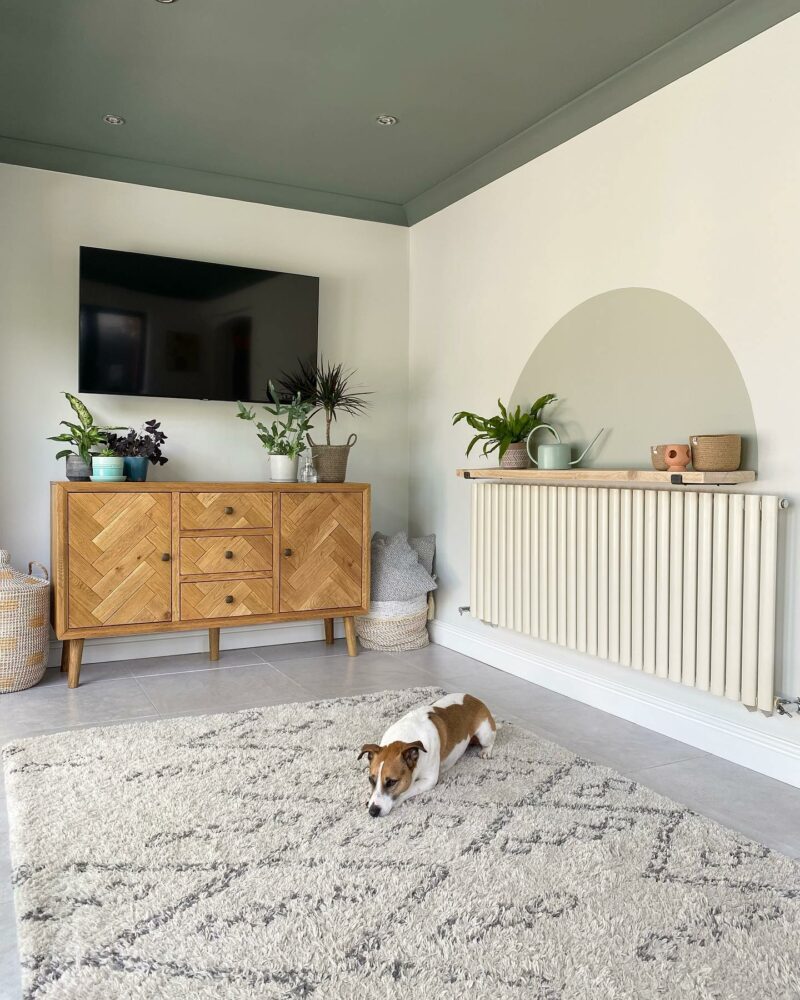 Parquet oak sideboard styled with plants and a dog lying on a shaggy rug.